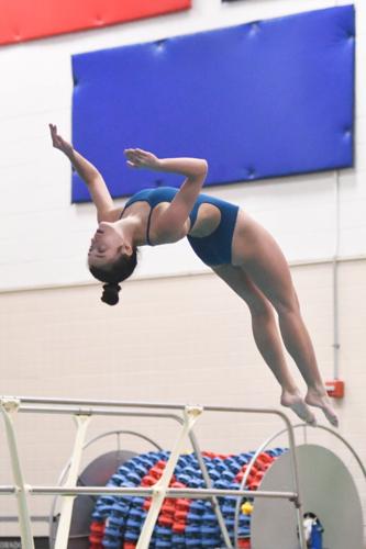 Schuylkill League Diving Championships