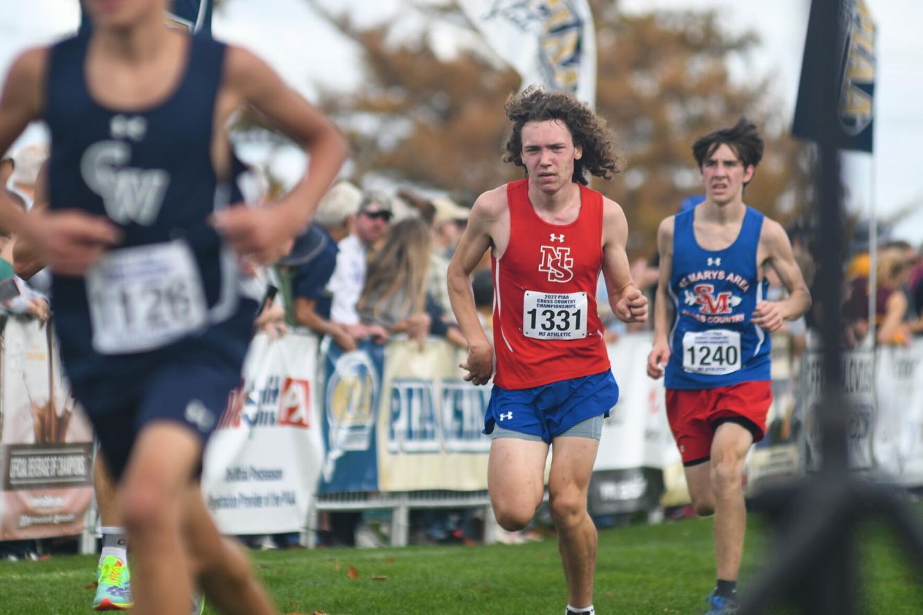 PIAA Cross Country Championships results