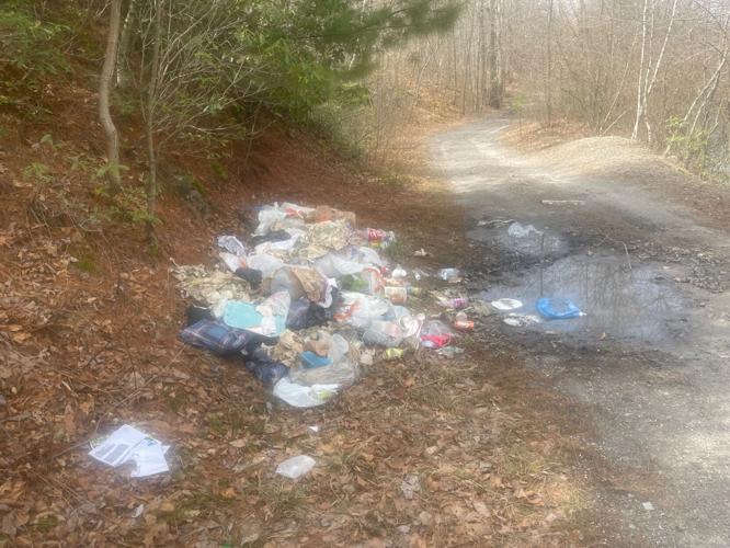 Litterers help clean up Union Twp. garbage News