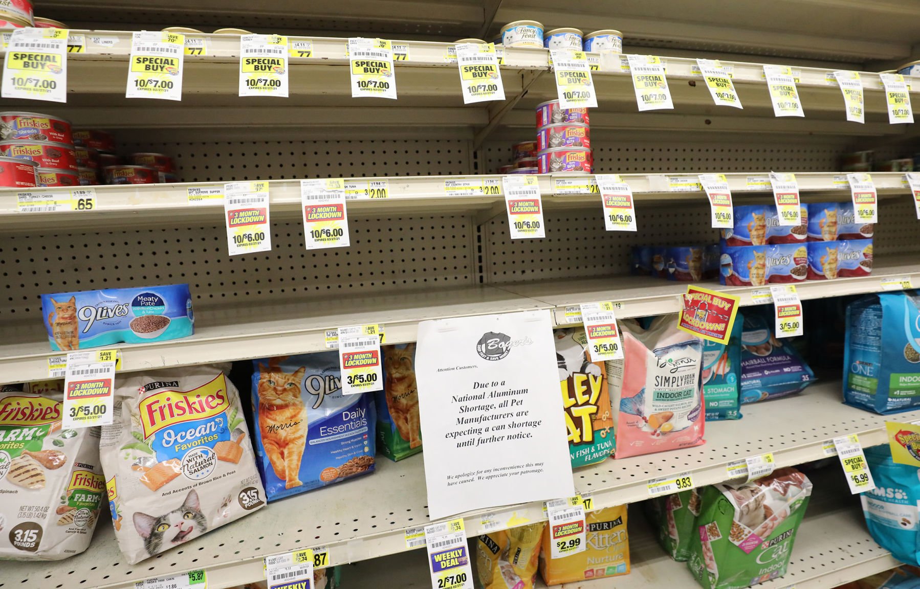 Grocery stores struggling to keep cat food in stock News