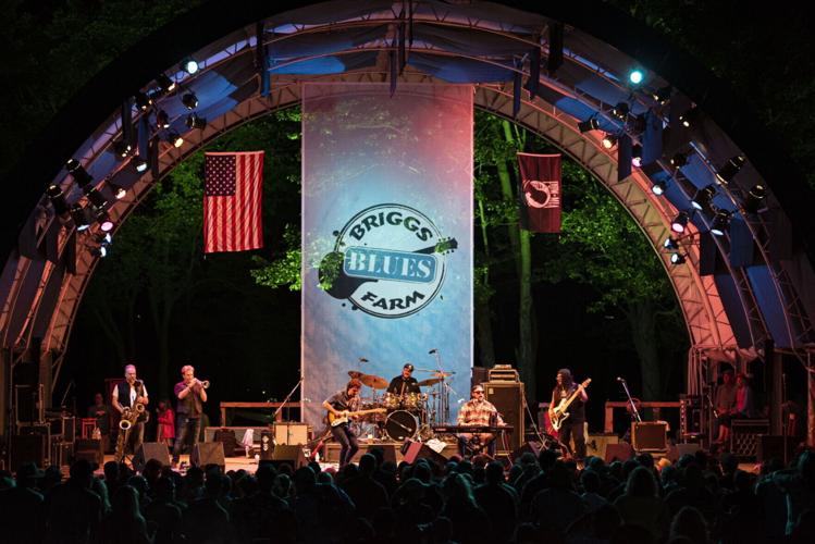 Briggs Farm Blues Festival celebrates 25 years; three days of music