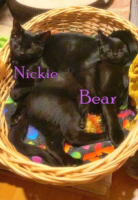 Nickie & Bear