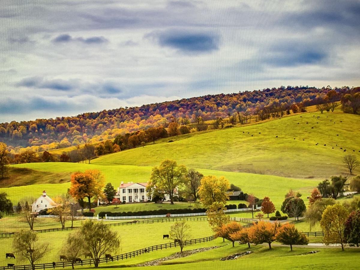 PEC's Farm to Food Bank effort will feed Culpeperarea residents