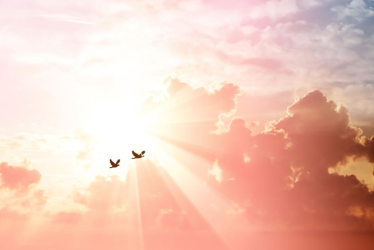 Morning sky cloud with birds flying