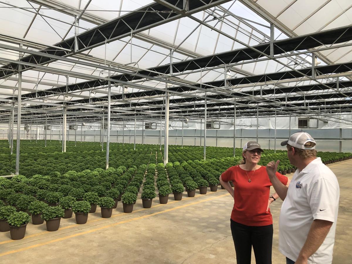 Spanberger visits Culpeper greenhouses
