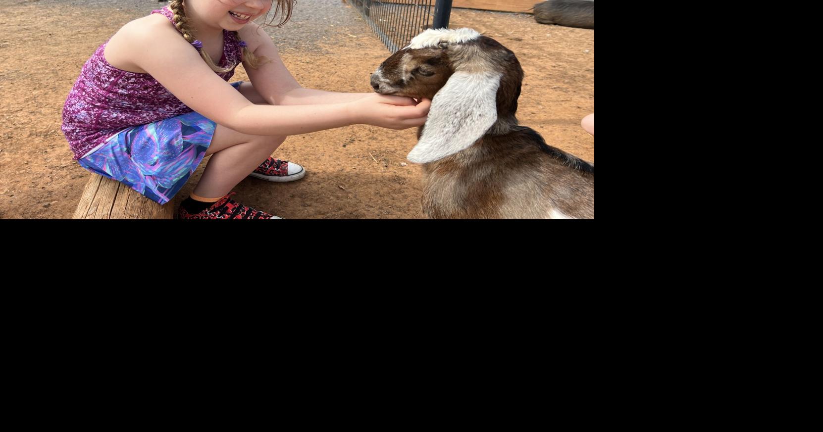 Annual Culpeper Farm Tour returns this weekend