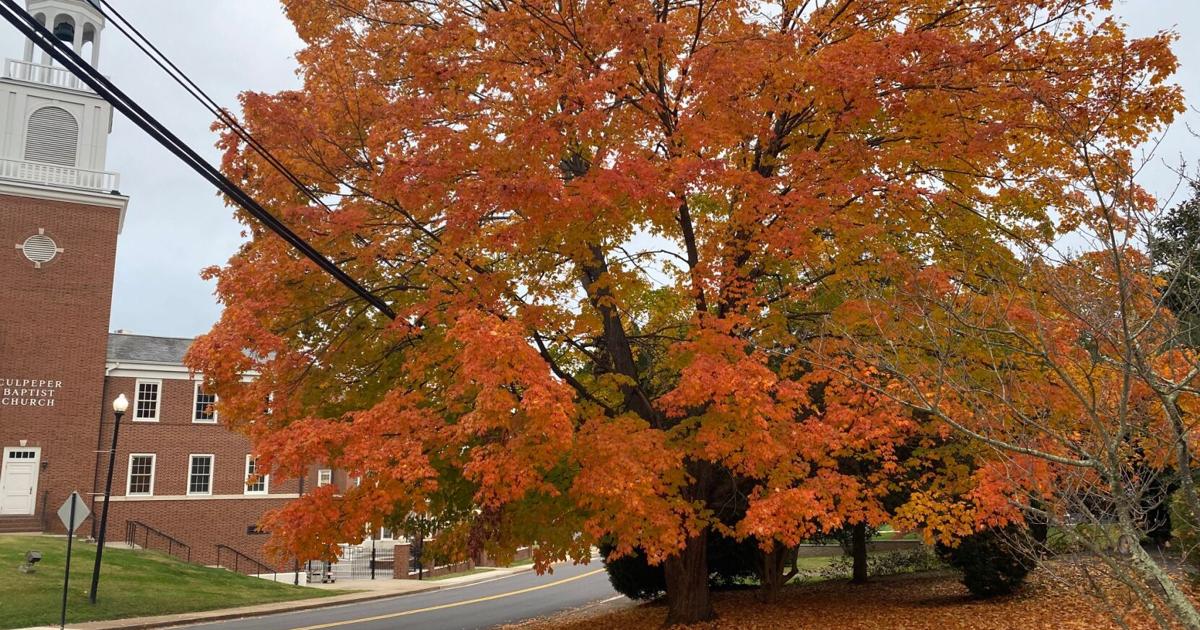 Culpeper Area Community Briefs For Oct 27 22 Culpeper Area Community Briefs For Oct 27 22