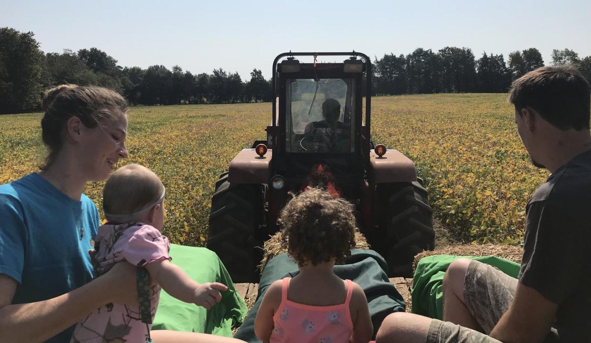 Harvest Days At Berry Hill Farm Is Refreshing Natural Laced With History Latest News Starexponent Com