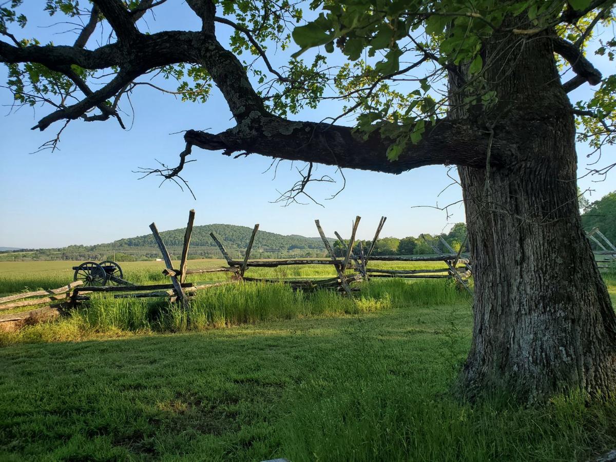 Cedar Mountain Battlefield cannon