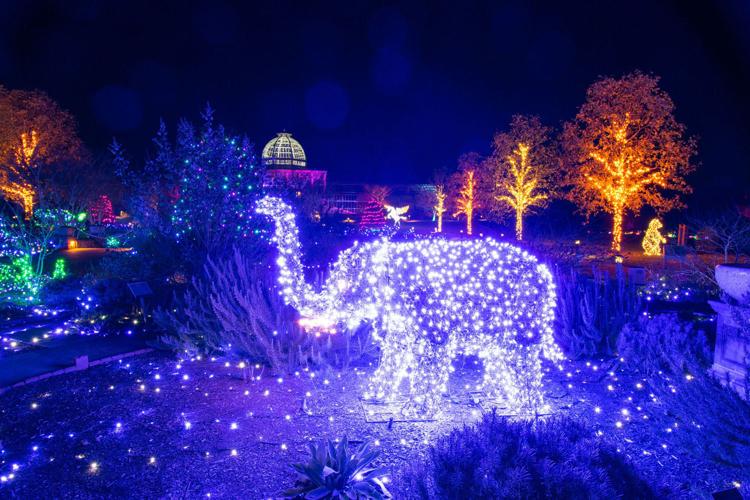 Christmas Light Displays Culpeper Va 2022 Va. Light Shows Turn On The Holiday Charm | Entertainment | Starexponent.com