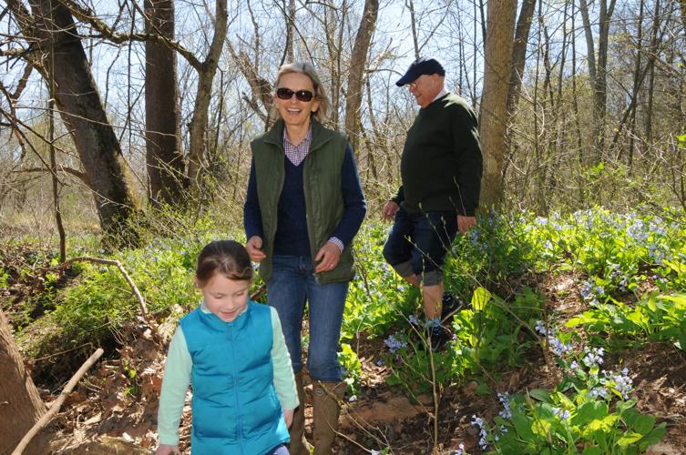 Bluebell Walk
