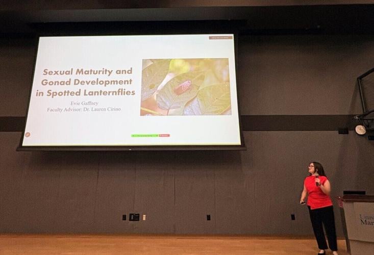 UMW’s Summer Science Institute Showcases Student Discovery From Lab to Lectern
