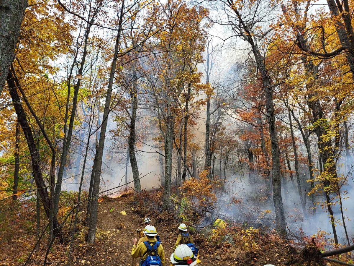 Shenandoah National Park closes trails for Quaker Run Fire