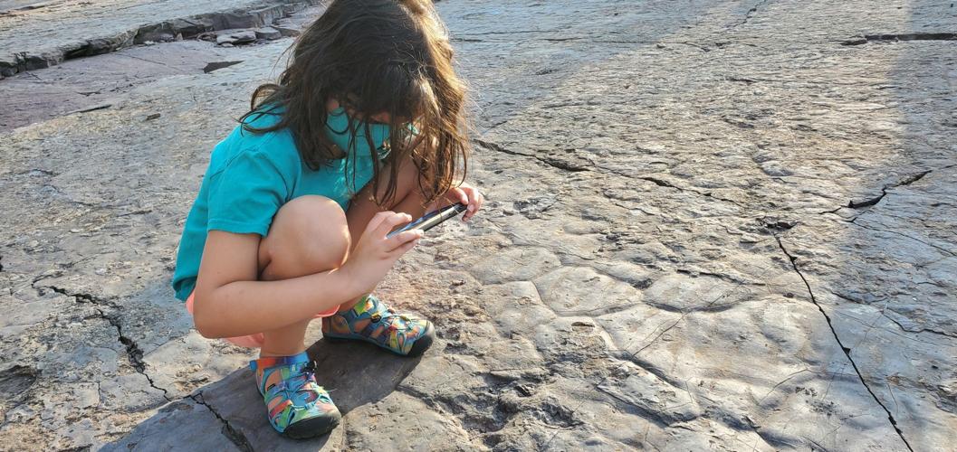 Hundreds explore Culpeper quarry, see thousands of fossils during Dino Walk