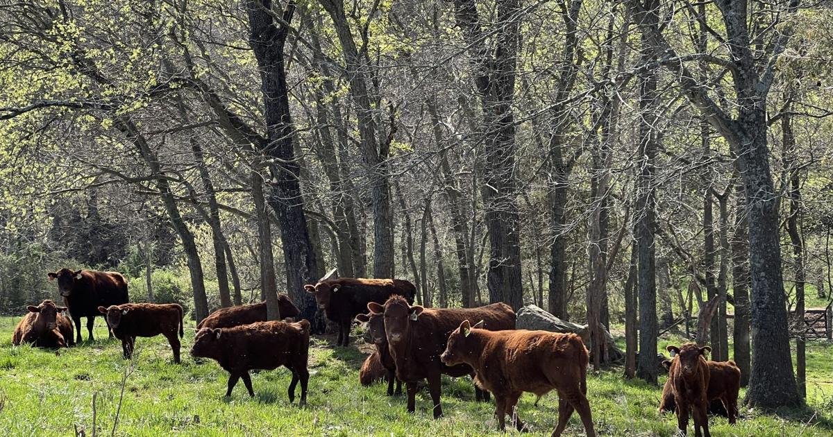 Lakota Ranch to host grazing management field day