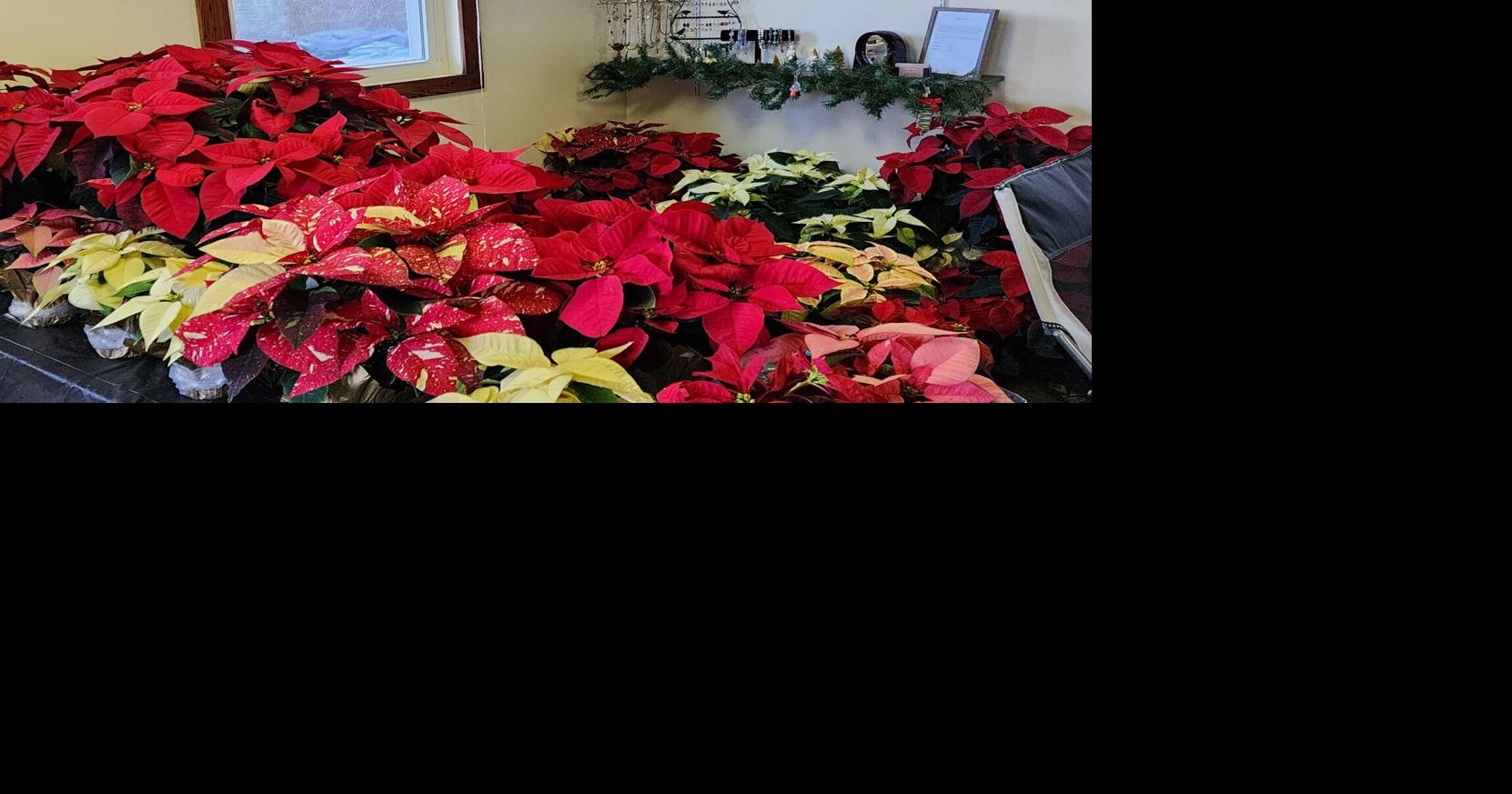 Willow Shade Nursery blooms in Culpeper