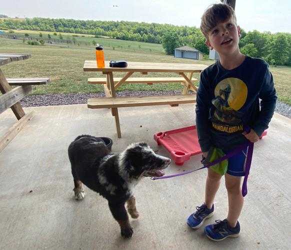 A Dog Gone Great Time at Summer Camp Culpeper area kids learn to train