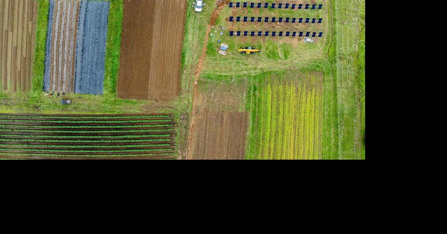 Growing power and produce, community farm's agrivoltaics plot wins ...