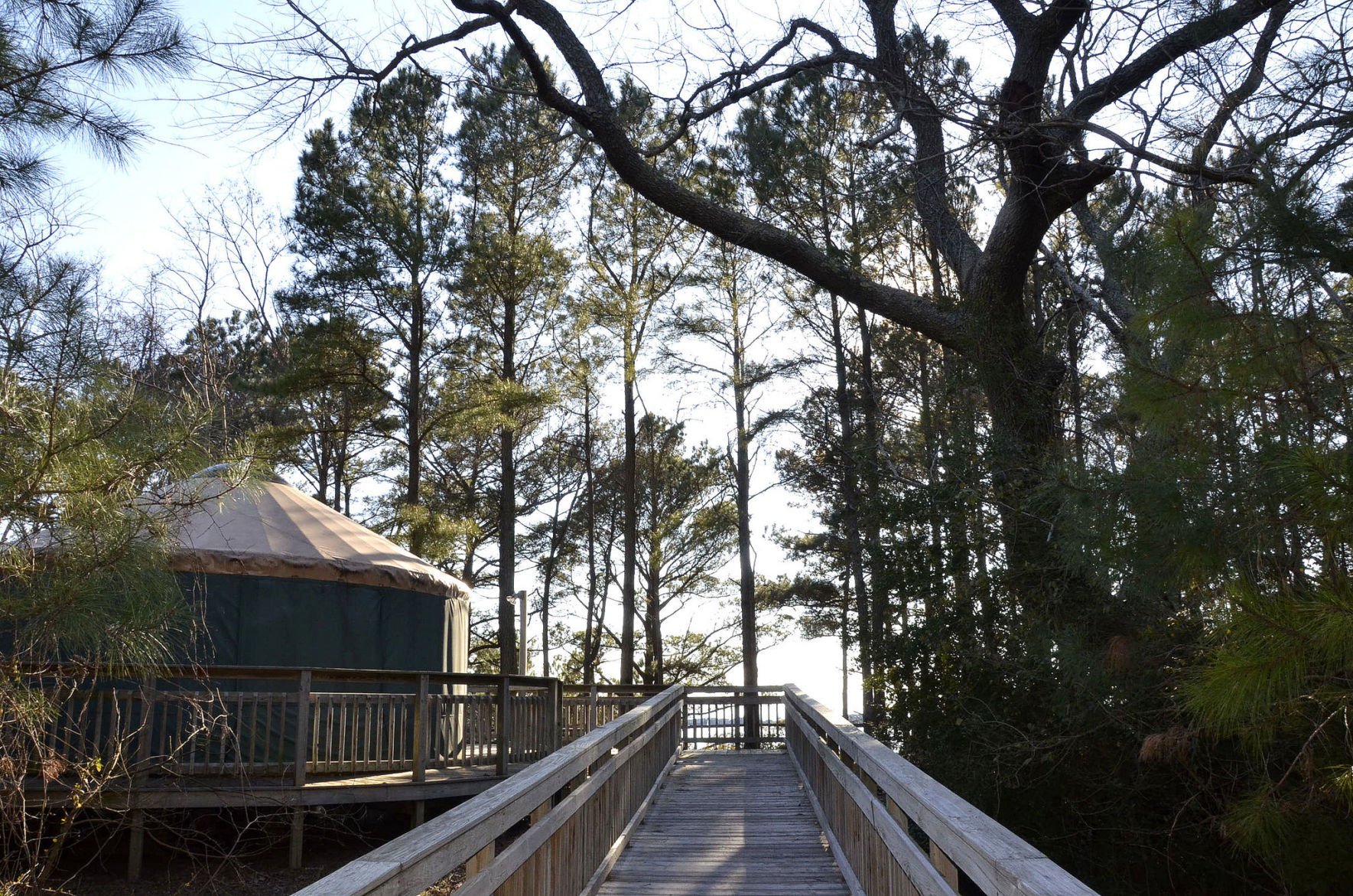 Kiptopeke is gem of a park on Virginia s Eastern Shore