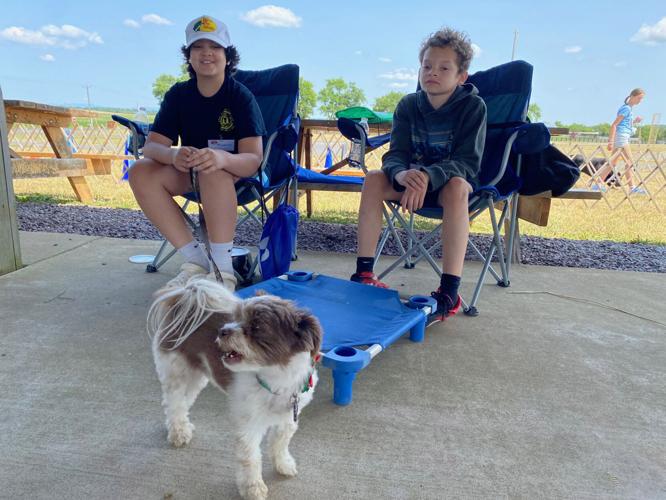A Dog Gone Great Time at Summer Camp Culpeper area kids learn to train