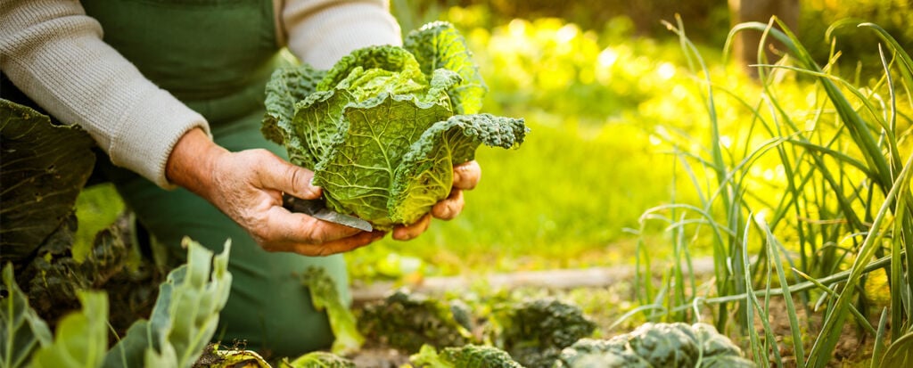 UMW Introduces Permaculture Design Certificate for Sustainable Landscapes, Weekend Sessions Start Sept. 18