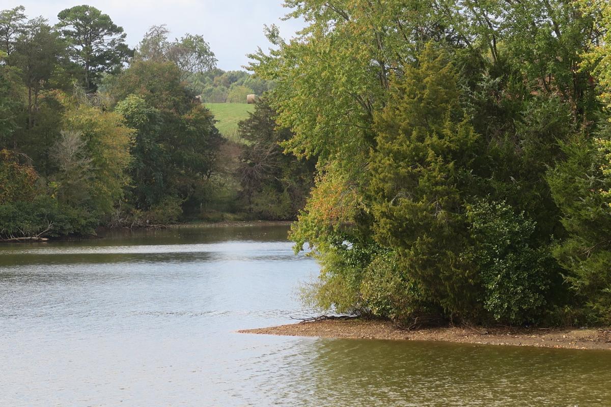 Lake Pelham 17-inches below spillway | News | starexponent.com