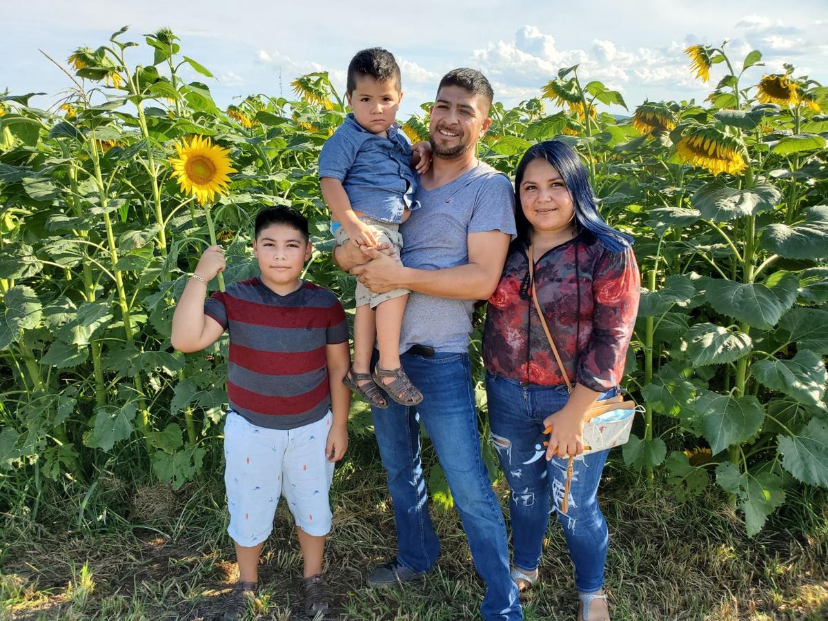 New Sunflower Patch By Historic Auburn Helps Farmer Diversify In Midst Of Pandemic Business Starexponent Com