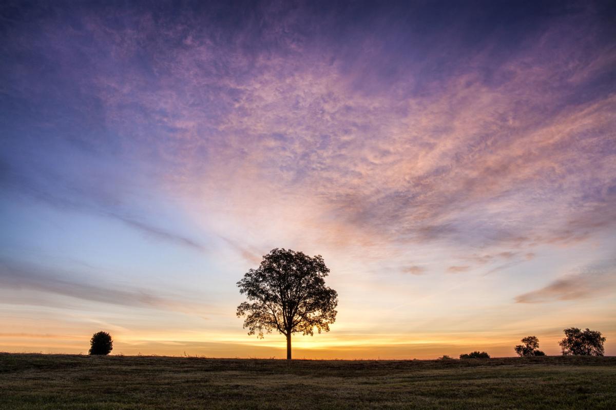 Brandy Station battlefield