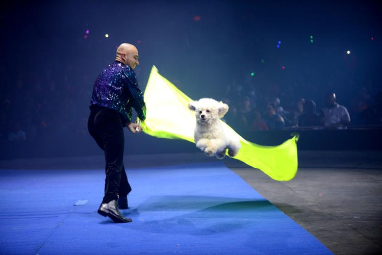 UniverSoul Circus is ready to wow its audience at National Harbor