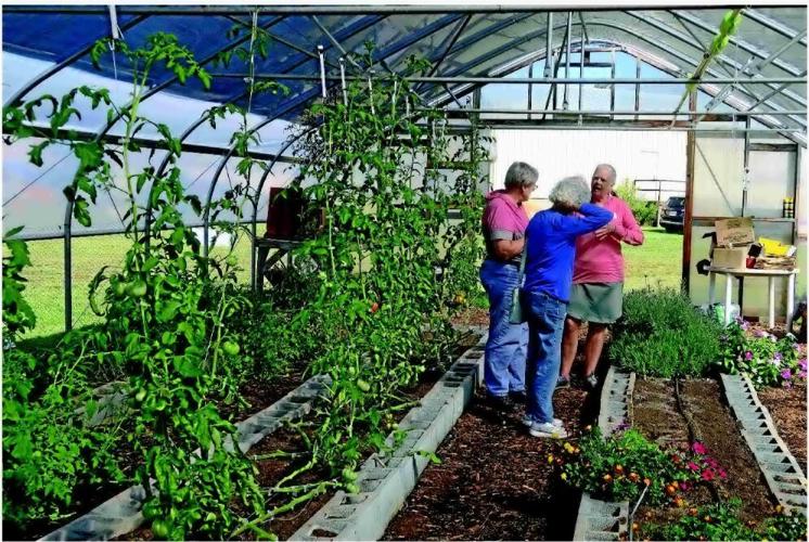 Culpeper Harvest Days Farm Tour