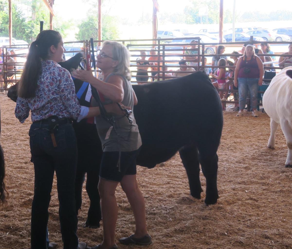 Cow Showmanship