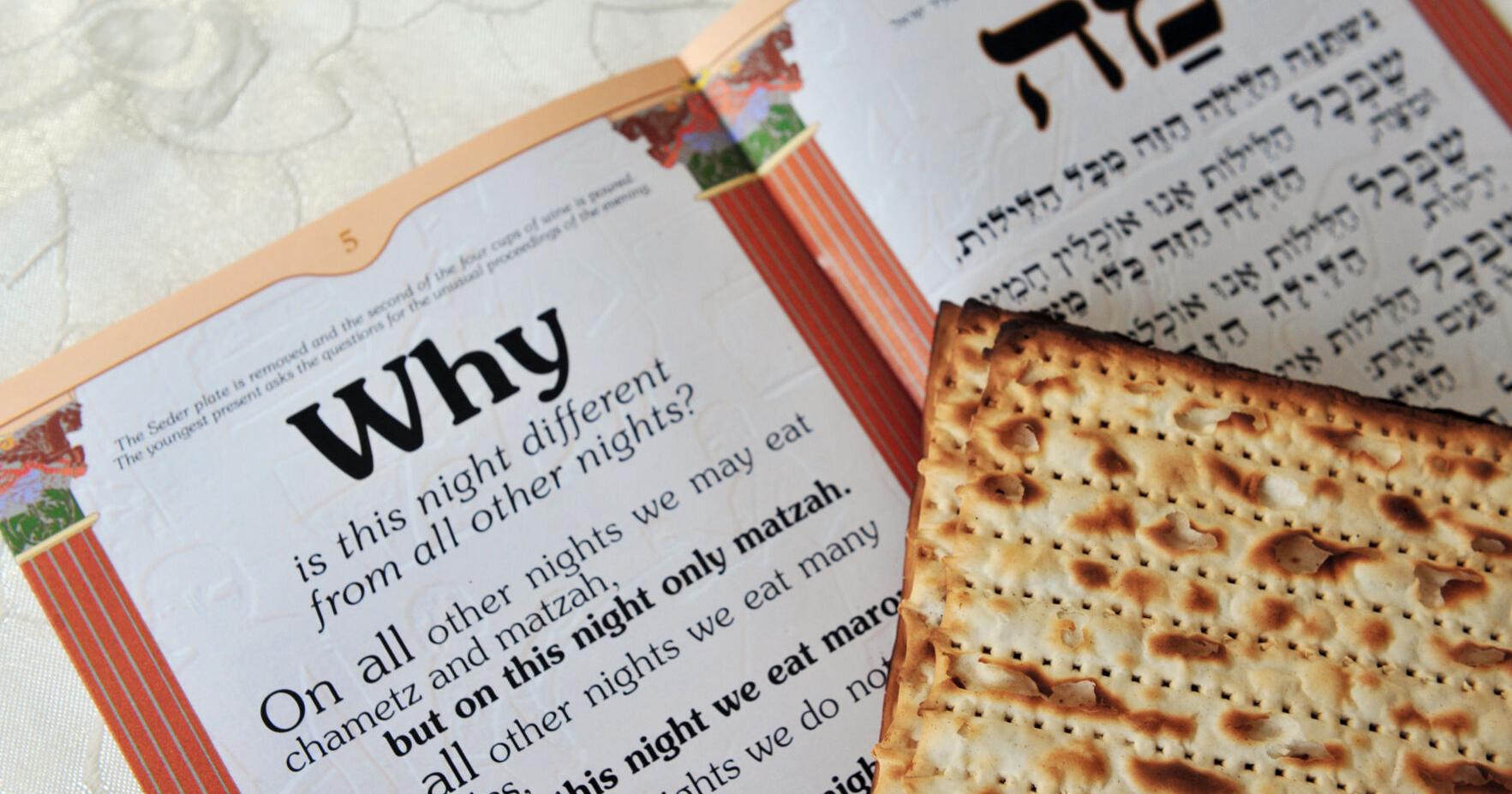RABBI ROSE: Spring is the season of renewal, but don't be quick to forget the past - Vimarsana News