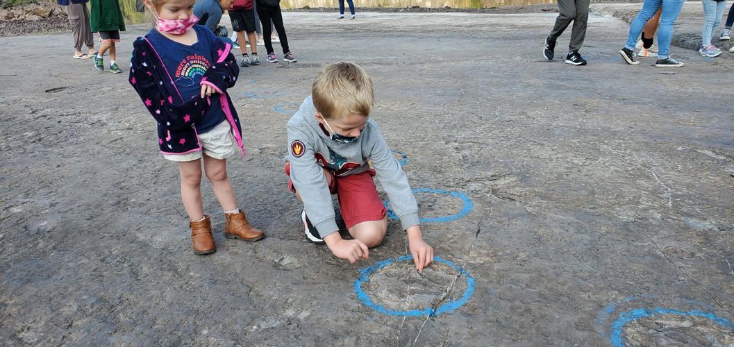 Hundreds explore Culpeper quarry, see thousands of fossils during Dino Walk