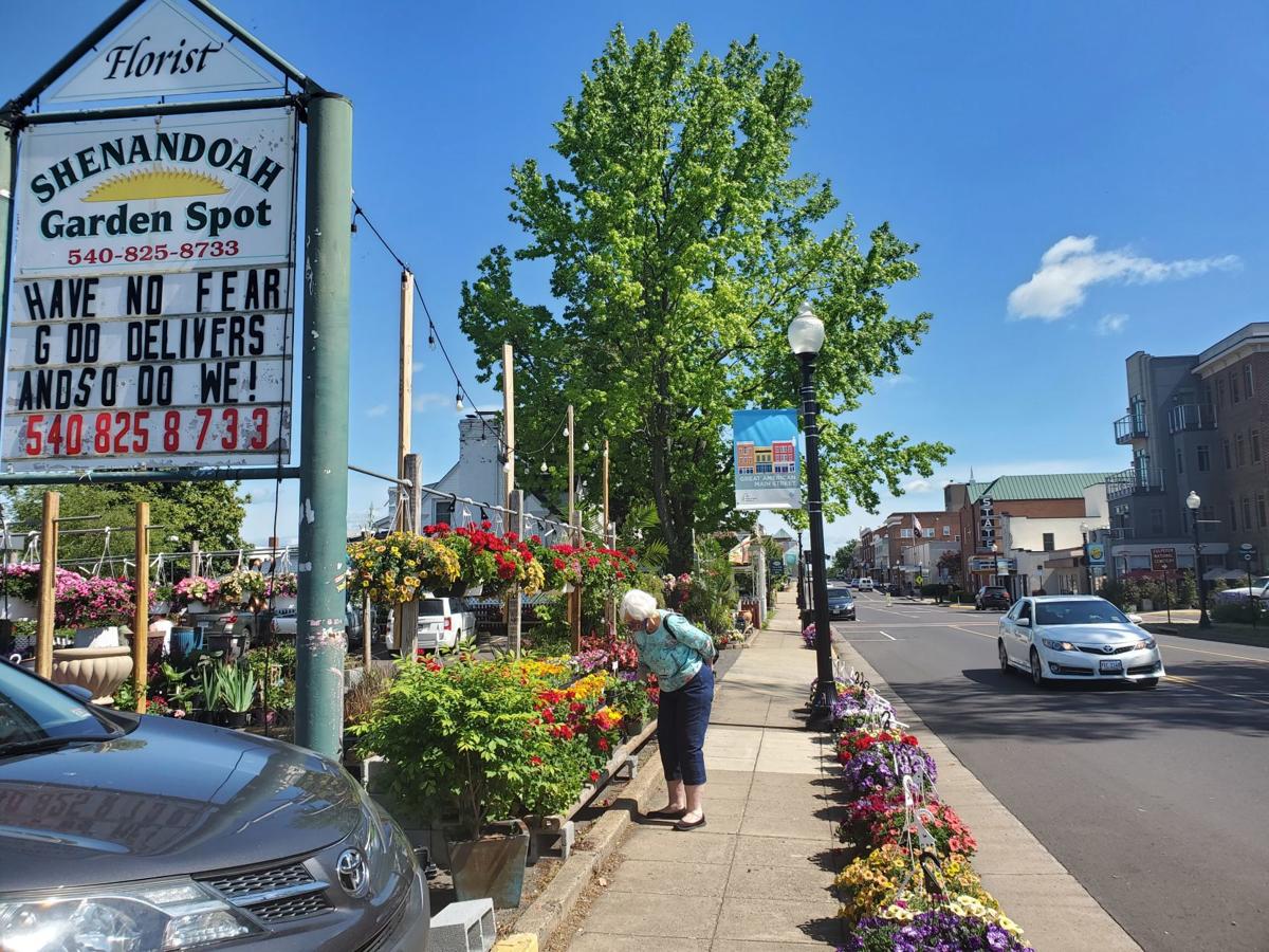 Flowers Bloom As Culpeper Reopens Starexponent Com