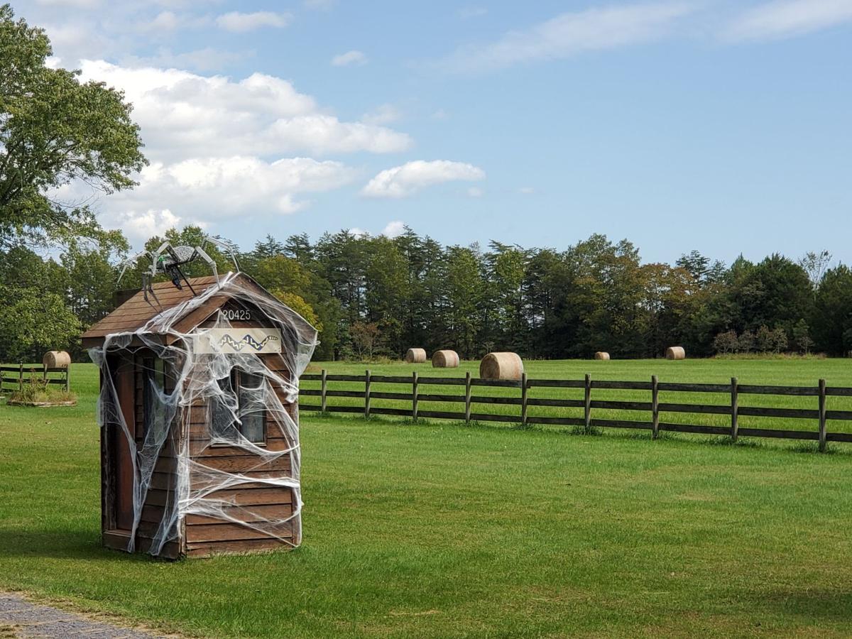 Culpeper Community Briefs For Oct 25 2020 Latest News Starexponent Com