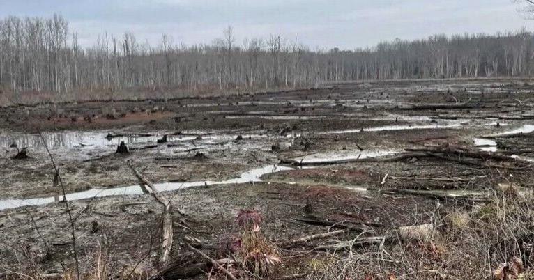Stafford County residents alarmed about dried-up wells, wetlands CATHY DYSON The Free Lance-Star Dec 30, 2025 1 min ago