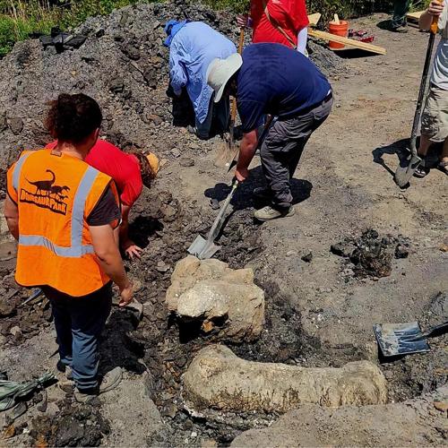 Largest-ever theropod fossil, 3-foot-long shin bone, found at Dinosaur Park in Maryland
