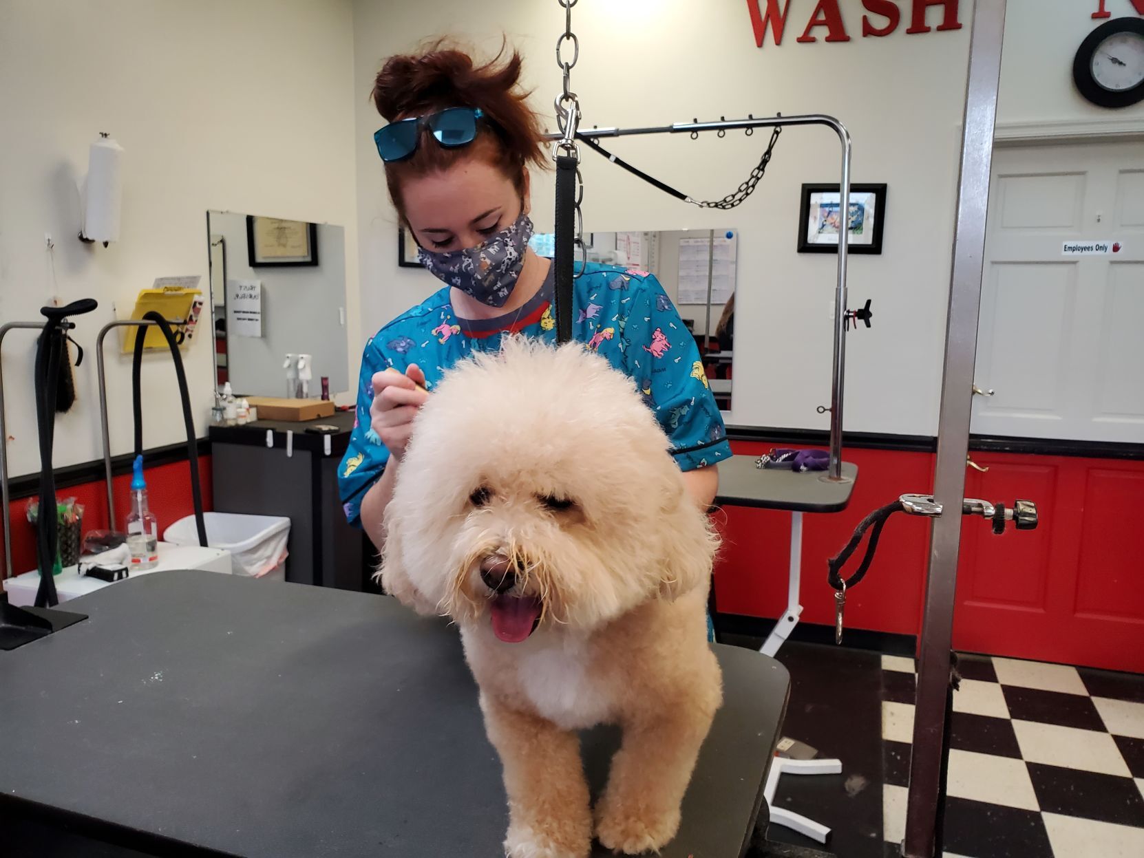 Happy tails Culpeper dog groomers boost skills to meet more demand