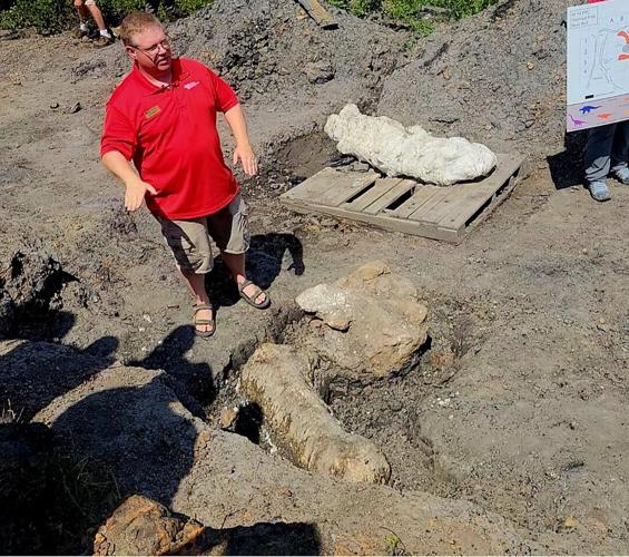Largest-ever theropod fossil, 3-foot-long shin bone, found at Dinosaur Park in Maryland