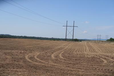solar culpeper farm starexponent dominion proposed runs transmission fields energy scale county through power line project