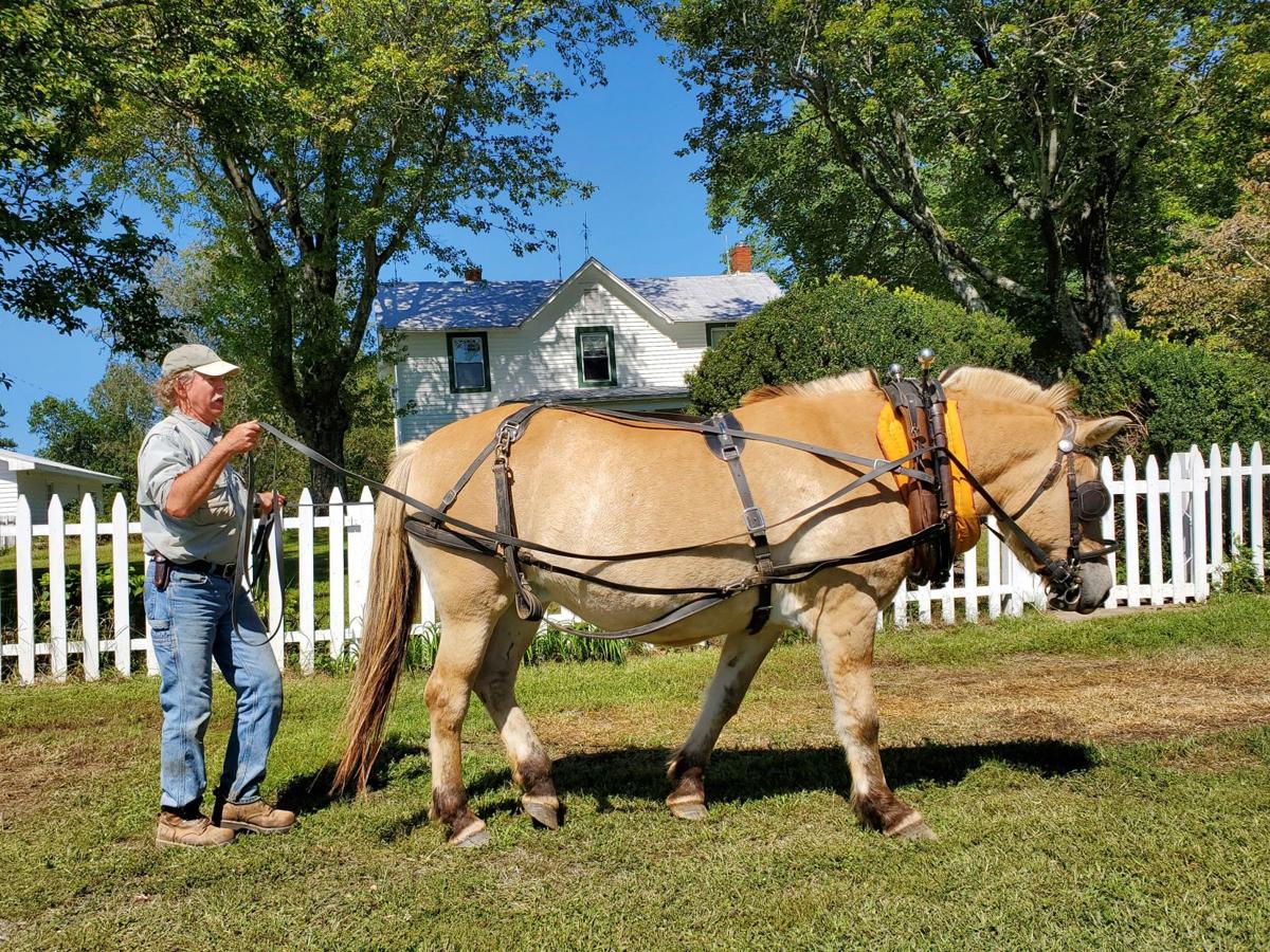 Ironwood Farm Culpeper