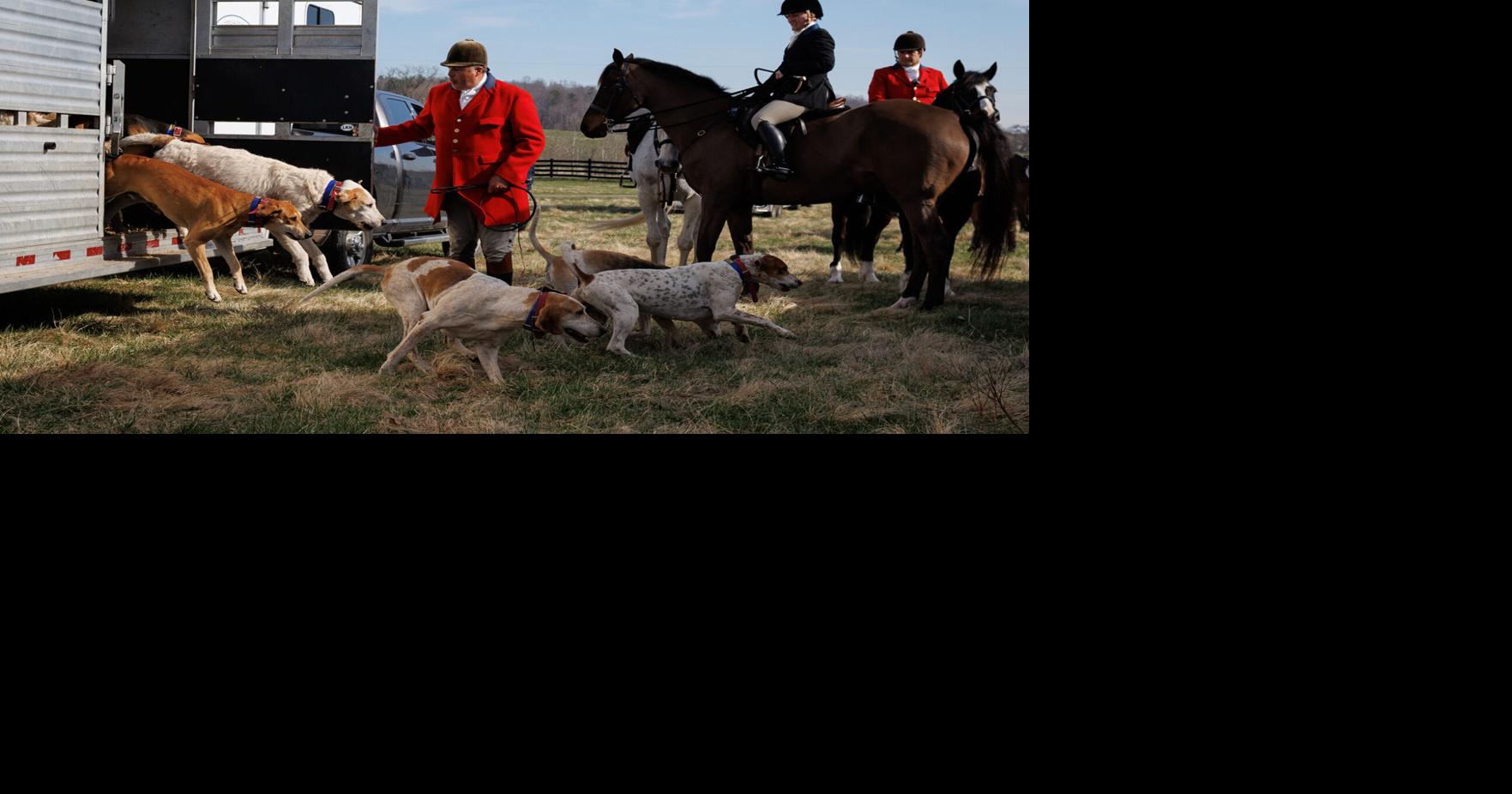 Chasing a tradition: Rappahannock Hunt celebrates a century