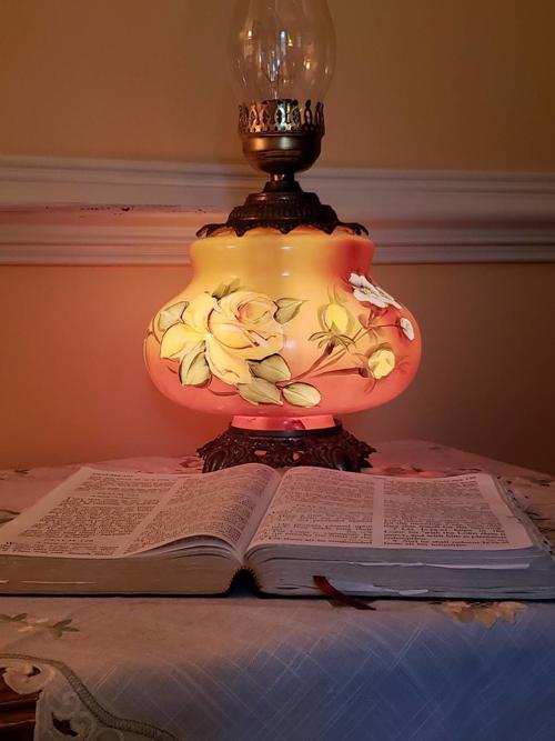 lilly jesus provides the light for the