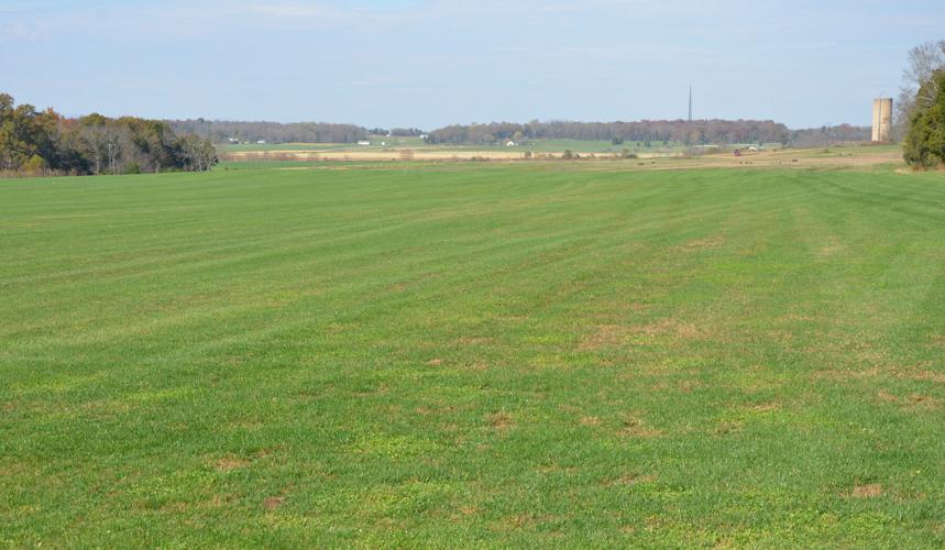 Celebrate St. Patrick's Day in Culpeper with Real Gold, Battle Lore, Bagpipes, Green Beer, and Dancers