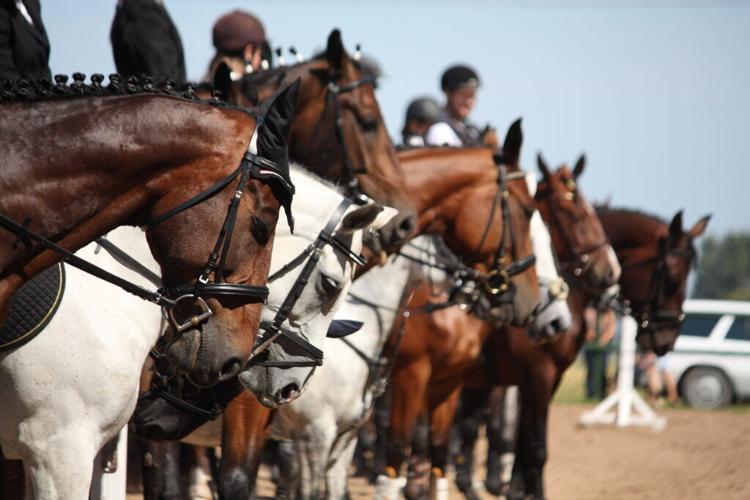 Saddle Up for an Unforgettable Season in Culpeper, Virginia
