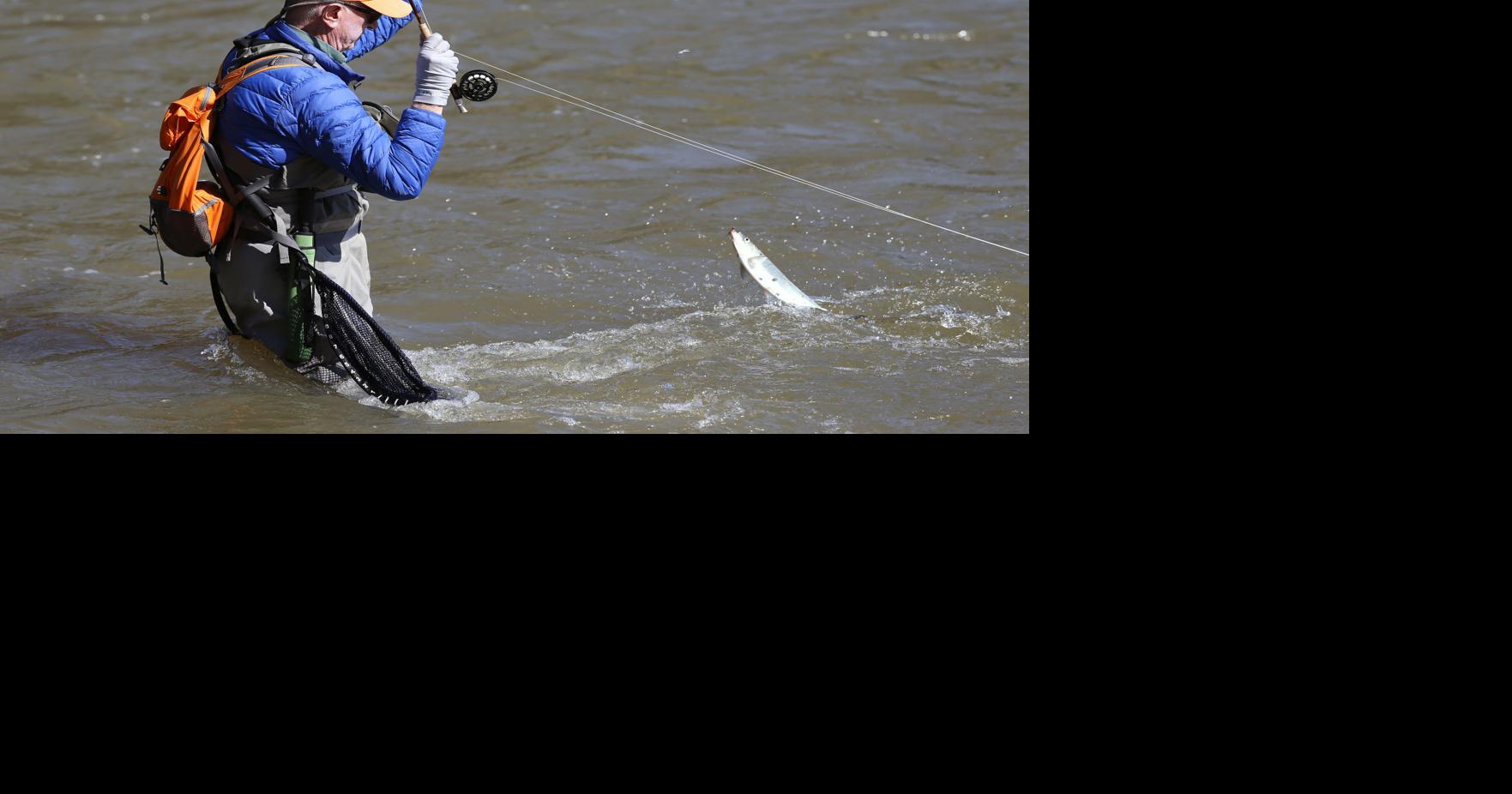 EDITORIAL: Saving the fish that saved a nation