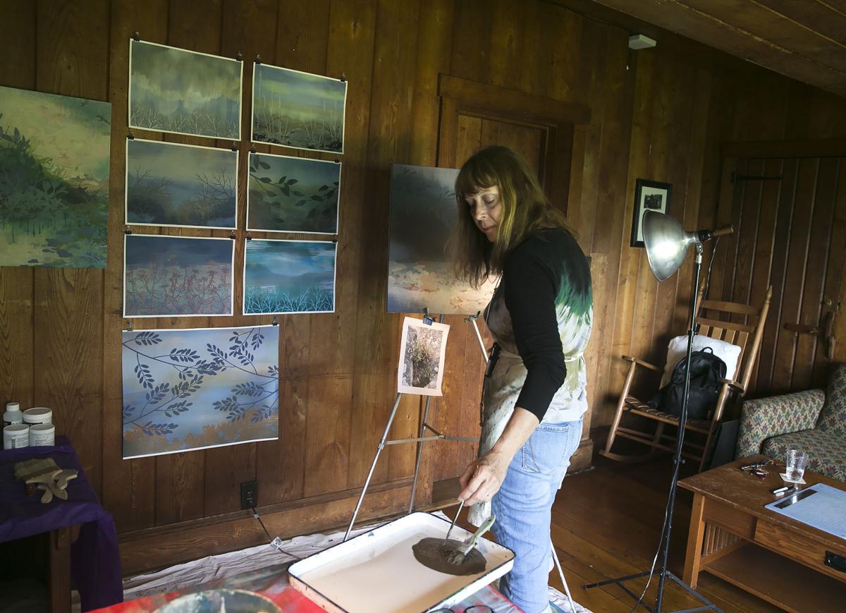 Artists program taking off at Shenandoah National Park