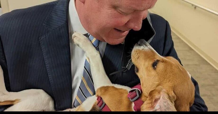 Warner, Kaine: Revoke Va. breeder's license for 'horrific' abuse of dogs | State and Regional News