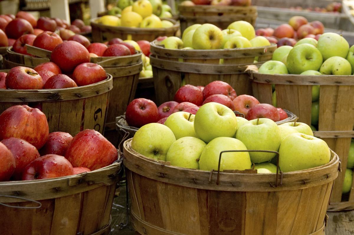 apples