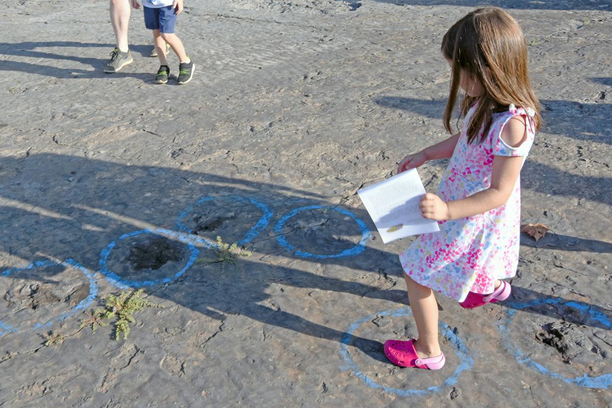 Dino Walk Drives Hundreds Into Quarry S Depths Cse Starexponent Com dino walk drives hundreds into quarry s